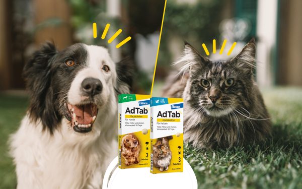 AdTab жевательные таблетки для собак и кошек