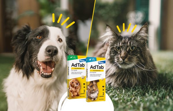 AdTab Kautabletten für Hunde und Katzen